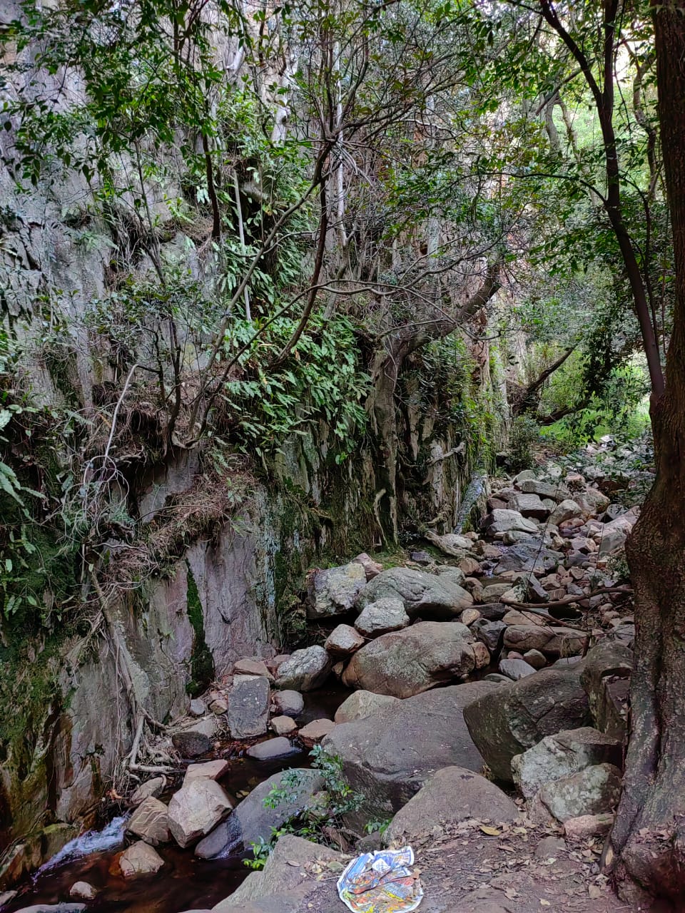 IMG-20230312-WA0014