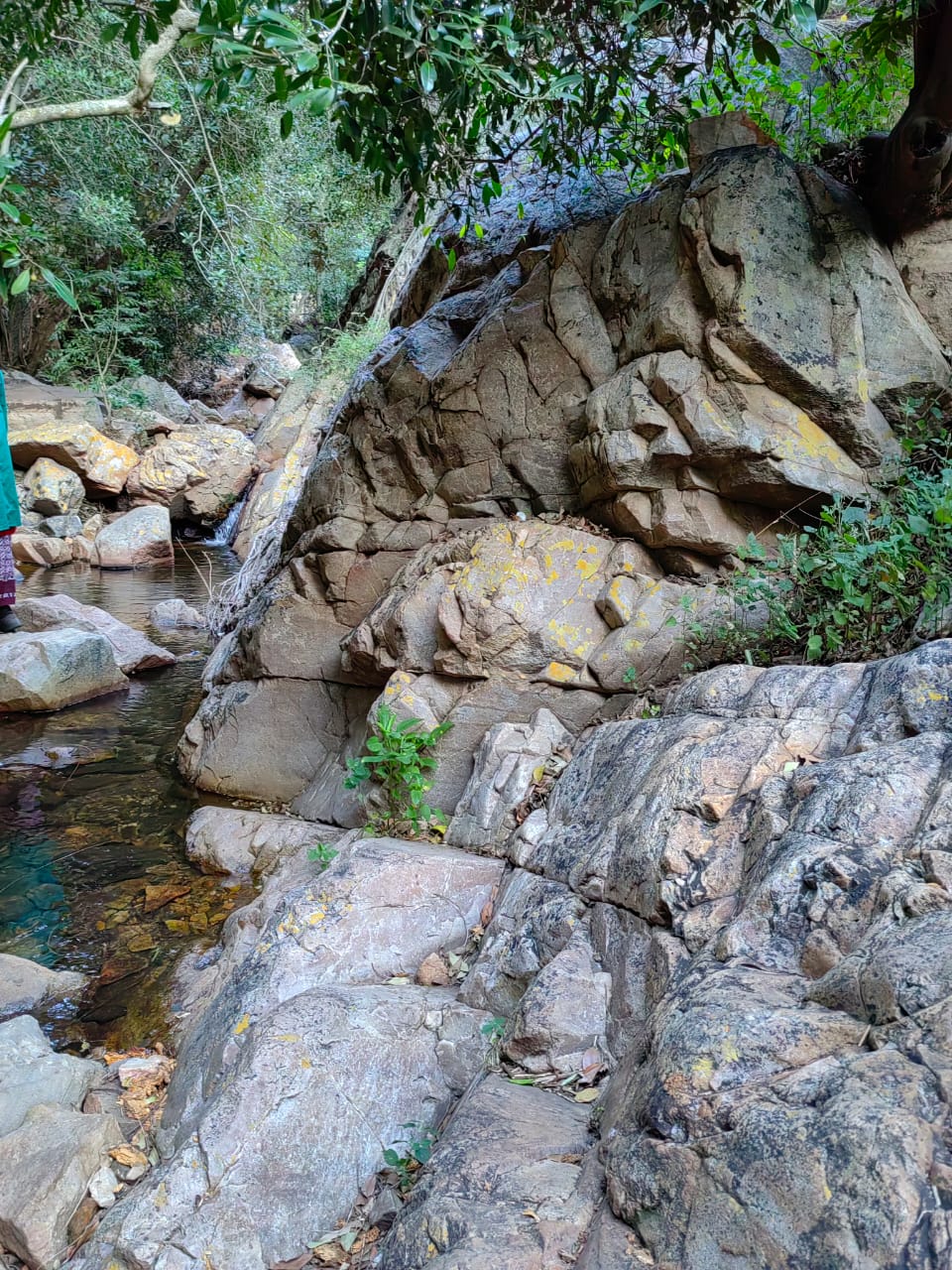 IMG-20230312-WA0019